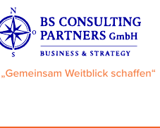Logo von BS Consulting Partners GmbH